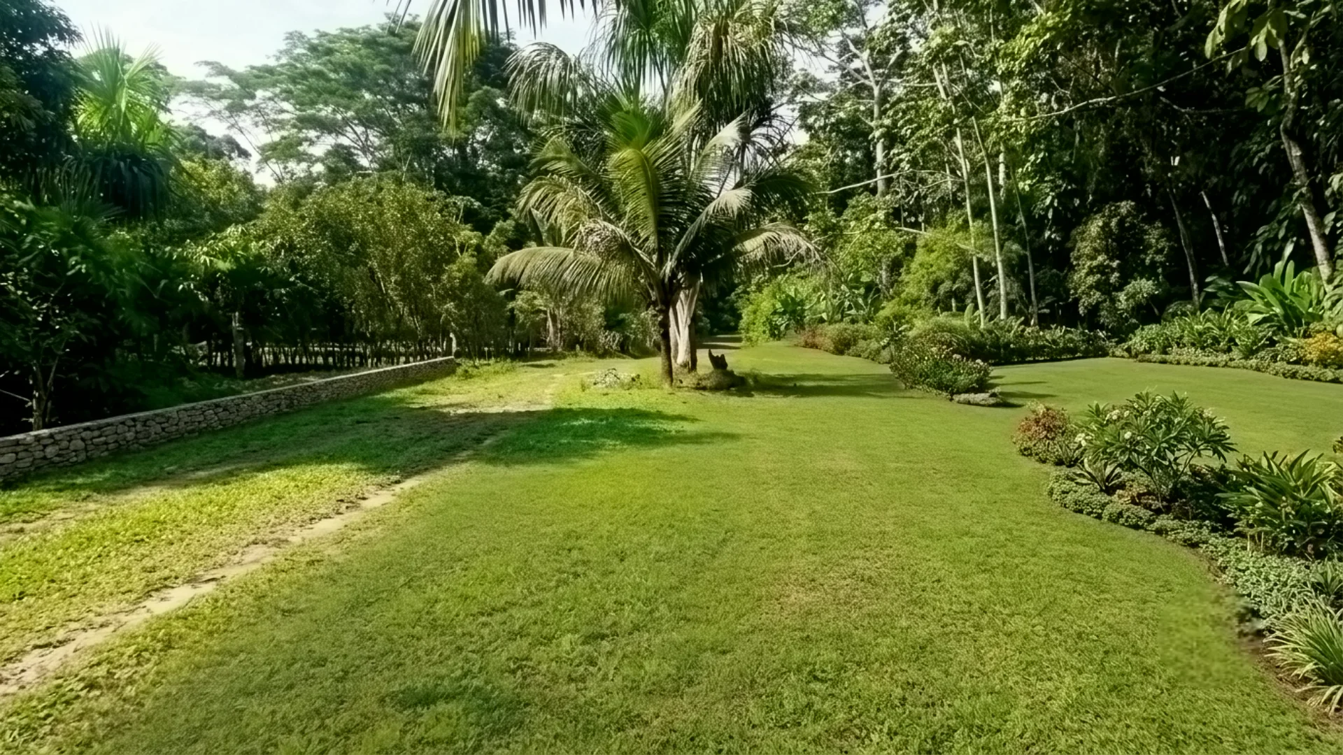 Vista del terreno en Tambopata
